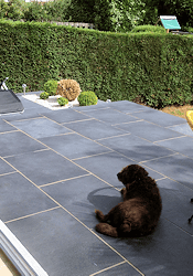 HORIZON BLACK PORCELAIN PAVING TILE